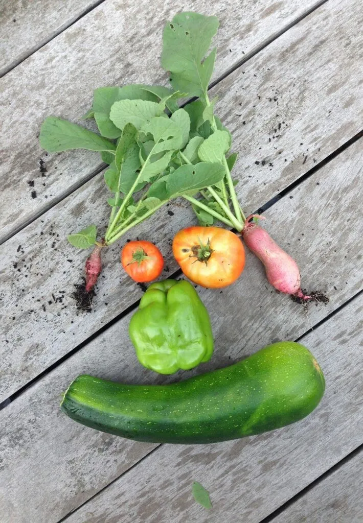 Des fruits et des légumes formant un visage souriant